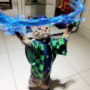 Funny Pictures &ndash; December 14, 2019