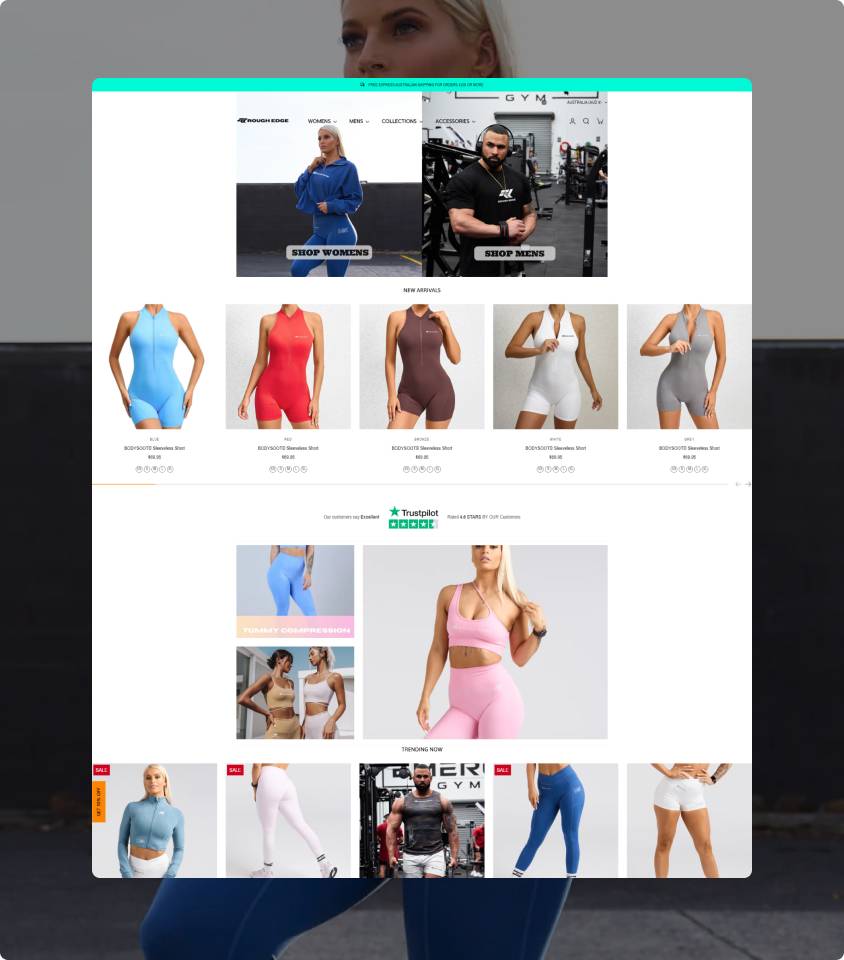 Image with missing alt attribute found on omnithemes.com