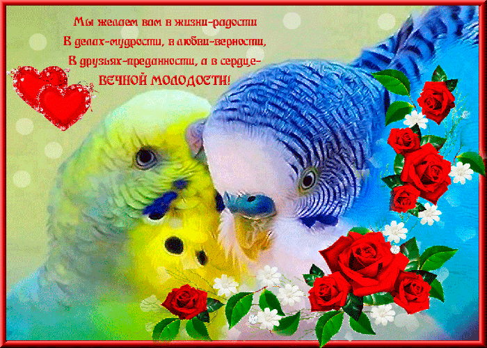 Желаю купаться в любви и счастье!