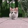Image with missing alt attribute found on qihoo.com