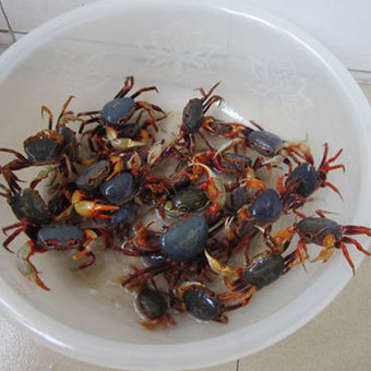 Image with missing alt attribute found on qihoo.com
