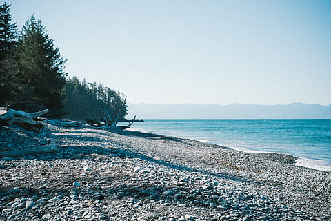 sky, blue, trees, branch, green, water, rocks, beach, dirt, sea, tranquility, scenics - nature, land, tranquil scene, clear sky, beauty in nature, tree, nature, day, plant, no people, copy space, non-urban scene, sunlight, idyllic, outdoors, pebble, 1080P, CC0, public domain, royalty free