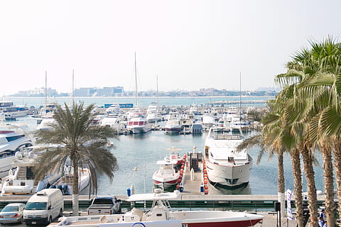 boat, ship, yacht, sea, water, transportation, tree, plant, marina, bay, palm tree, tropical climate, mode of transportation, nautical vessel, sky, building exterior, architecture, nature, city, built structure, day, harbor, moored, high angle view, outdoors, no people, sailboat, luxury, port, 2K, CC0, public domain, royalty free