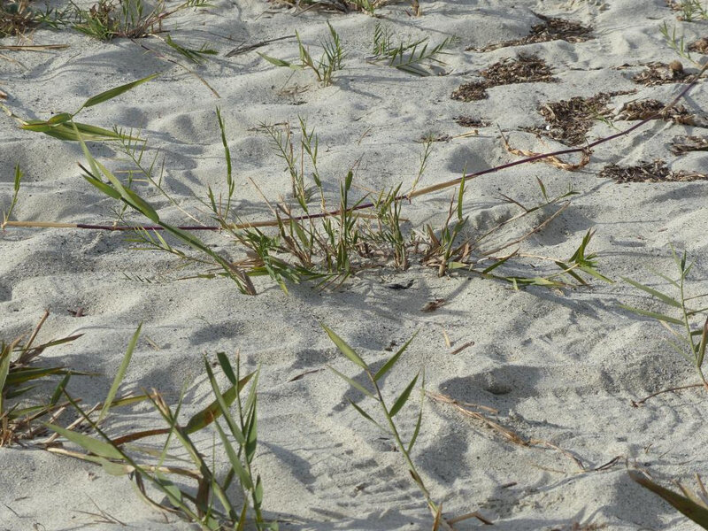 P1260732