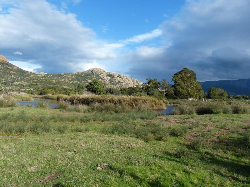 P1260726