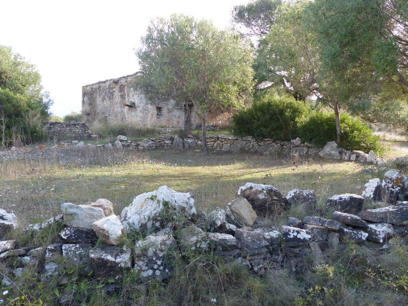 P1260724