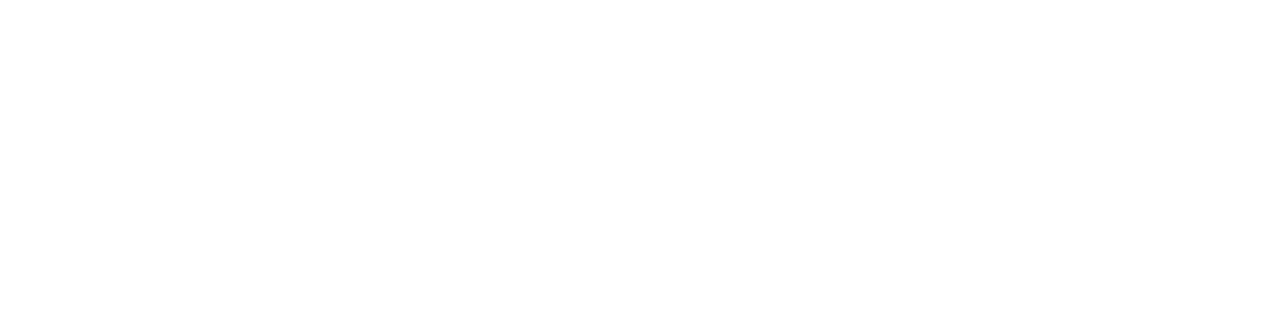 Image with missing alt attribute found on paladinpos.com