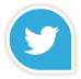 twitterico