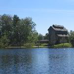 Lake Alice Pictures - Gainesville, FL - March 2005