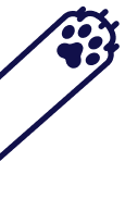 Image with missing alt attribute found on pawlly.iqonic.design