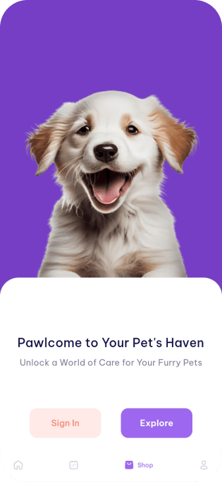 Image with missing alt attribute found on pawlly.iqonic.design