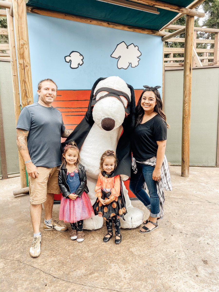 Image with missing alt attribute found on knotts.com