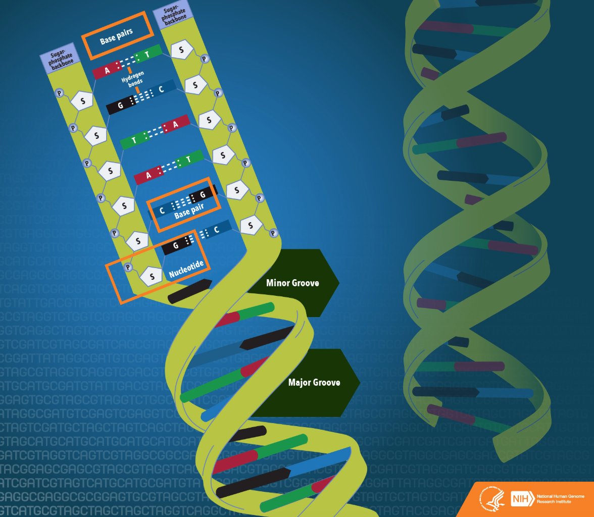Image with missing alt attribute found on genome.gov