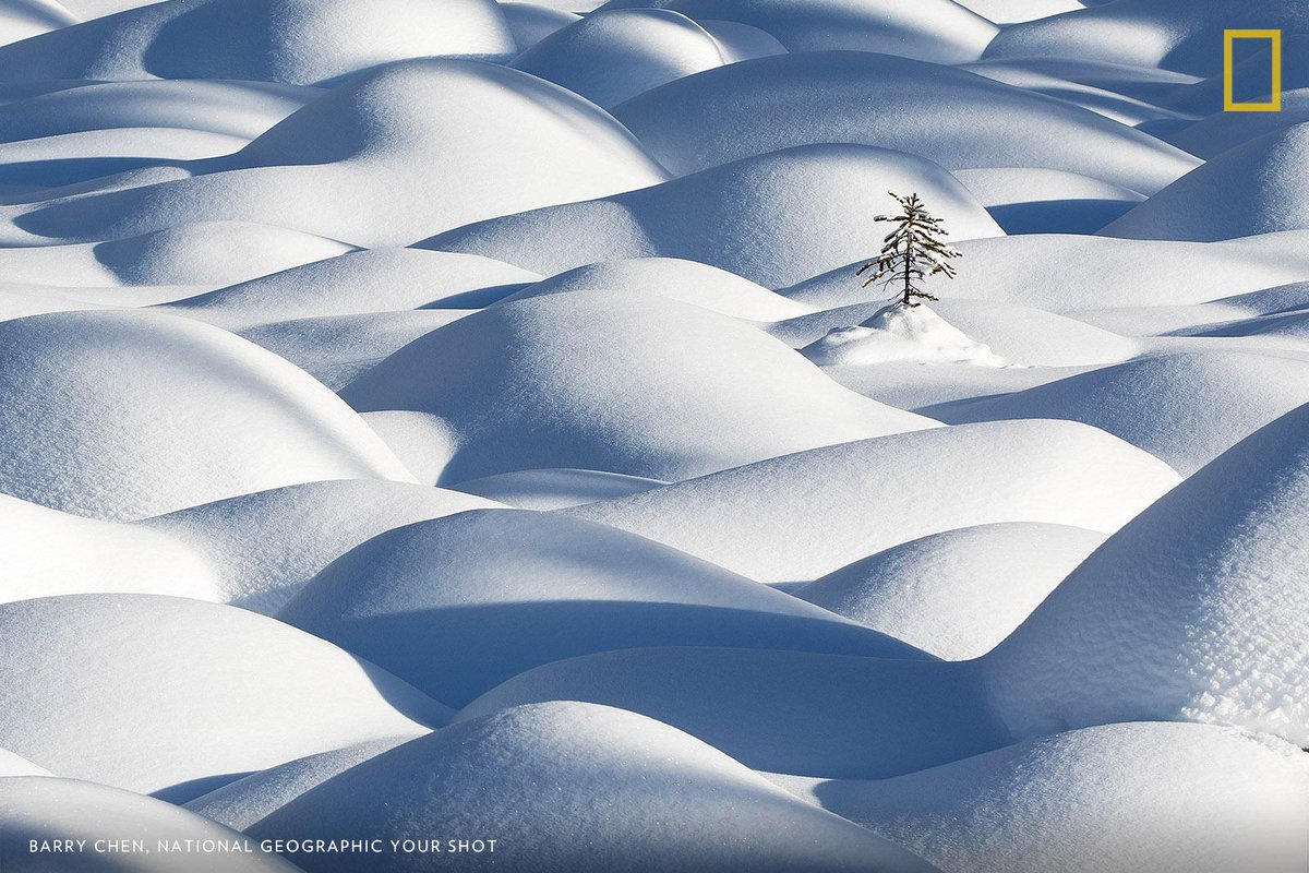 The snowy topography in Banff, Canada, is accentuated by sun and shadows in this tranquil image by photographer Barry Chen https://t.co/xHSOWFOg8C