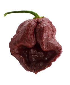 Image with missing alt attribute found on pepperhead.com
