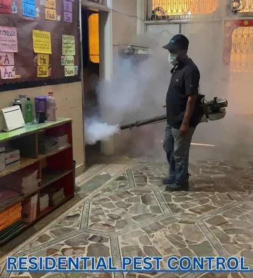 Residential Pest Control
