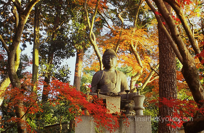 Kyoto Walking Tours