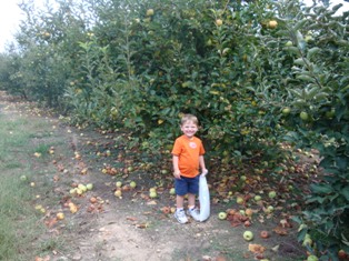 Image with missing alt attribute found on pickyourown.org