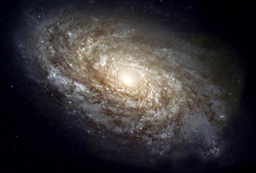 Space Category