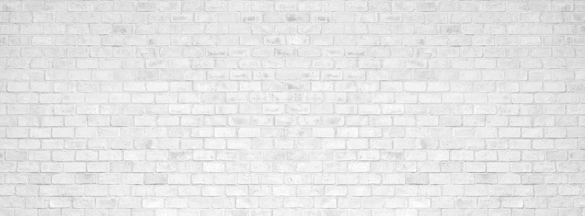 Image with missing alt attribute found on polskielajki.pl