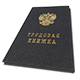 Программ Твой Стаж