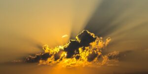 mindfulness therapy