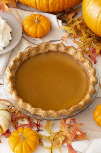 A pumpkin pie next to lots of mini pumpkins and a bowl of whipped cream