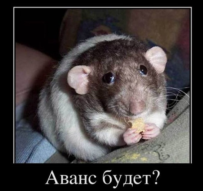 Image with missing alt attribute found on privetpeople.ru
