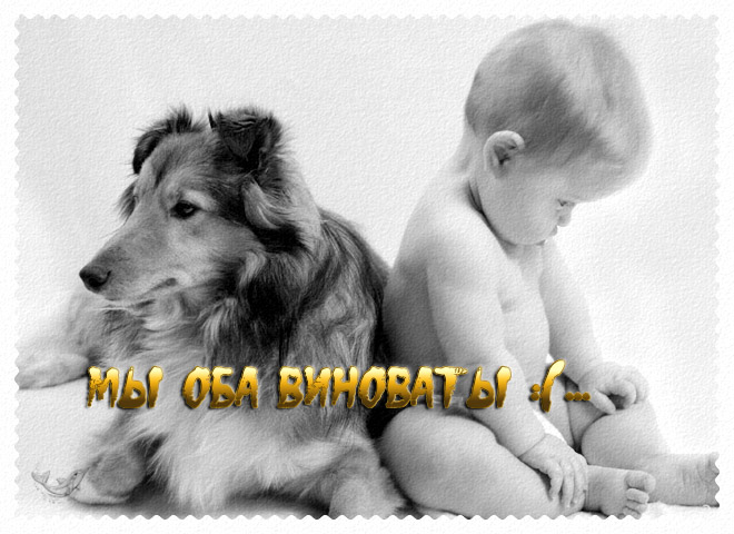 Шутливые фразы для примирения после ссоры