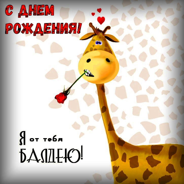 Прикольные картинки и открытки Женщине с Днем рождения