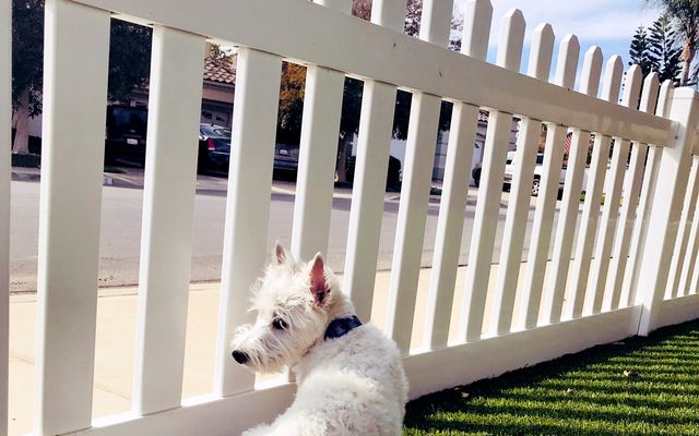 Fence and Gate Installation