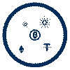 Stable Coin Development icon