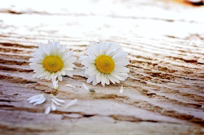 Image with missing alt attribute found on quotereel.com
