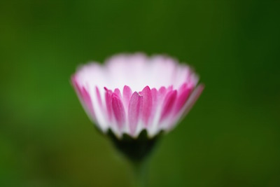 Image with missing alt attribute found on quotereel.com