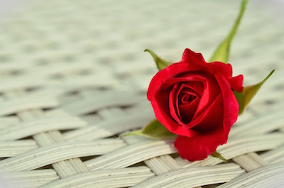 Image with missing alt attribute found on quotereel.com