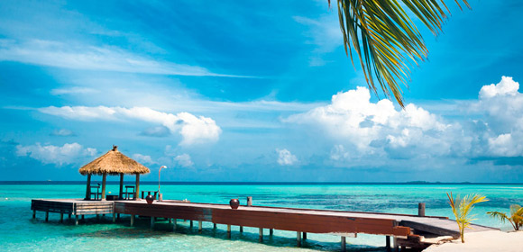 Image with missing alt attribute found on tez-tour.com
