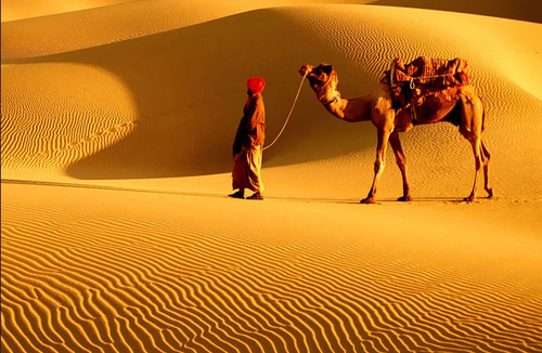 Image with missing alt attribute found on rajasthanindiatourdriver.com