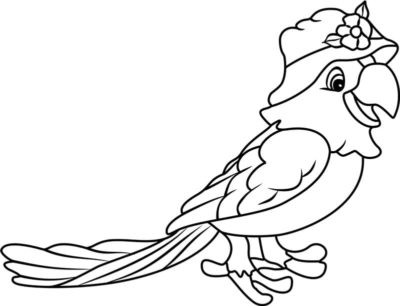 Image with missing alt attribute found on raskrasil.com