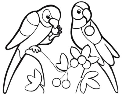 Image with missing alt attribute found on raskrasil.com
