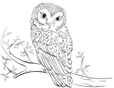 Image with missing alt attribute found on raskrasil.com
