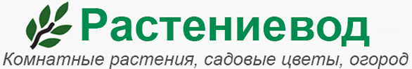 Растениевод