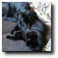 Image with missing alt attribute found on rechneronline.de