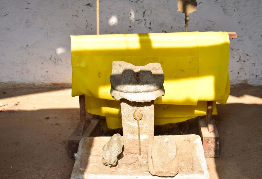 Image with missing alt attribute found on reclaimtemples.com