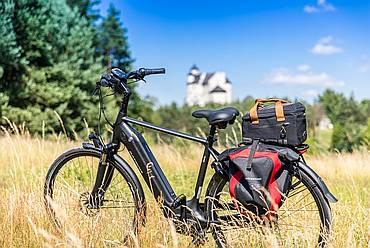 Batavus Finez Power