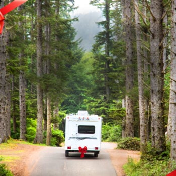 Image with missing alt attribute found on rvlife.com