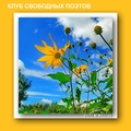 Image with missing alt attribute found on poembook.ru