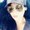Image with missing alt attribute found on yelp.my