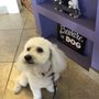 Image with missing alt attribute found on yelp.my