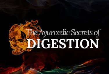 The Ayurvedic Secrets of Digestion