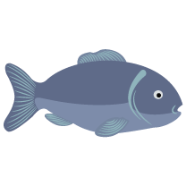Image with missing alt attribute found on supercook.com